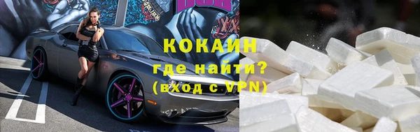 бошки Няндома
