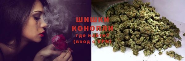 бошки Няндома