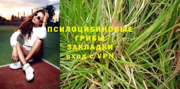 бошки Няндома
